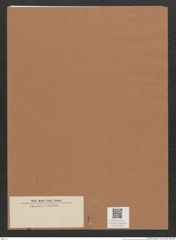 Diatomeae indet. Zeichnungen Sammlung Grunow Mappe 03276 (Herbarium_W_Grunow_drawings_Folder_03276)